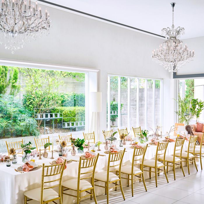 【6名からOK】ファミリー&少人数ウェディング相談会《試食付》