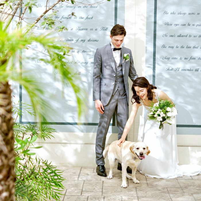 【ペット婚相談会】ガーデン付き貸切邸宅で特別なひととき&黒毛和牛試食