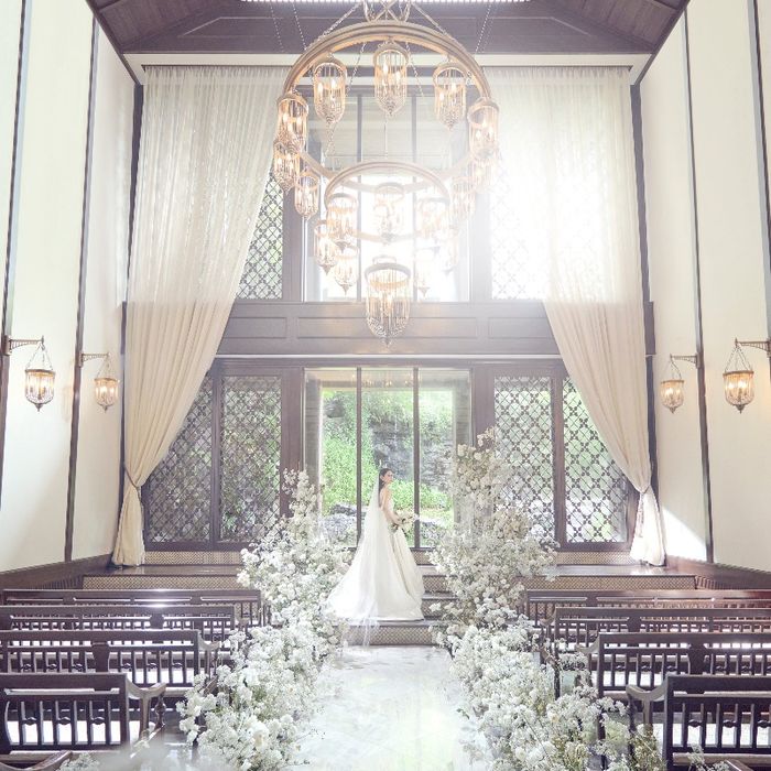 【平日限定15大特典】選べる木と光のチャペル体験×無料試食