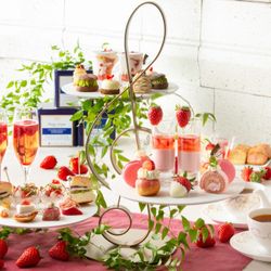 先着1組*4万ギフト×15大特典で100万優待*1.2万円試食フェア