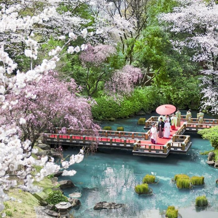 【月初BIG】AM神社特別見学×金目鯛*試食ד貸切”庭参進体験