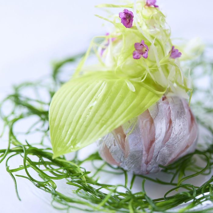 【リゾートW体験♪】絶品コース試食×演出体験!来館ギフト9万