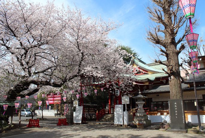 居木神社のカバー写真