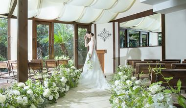 【2026年8月〜2027年1月|50名248万】緑輝くサマープラン<52.5万円優待>