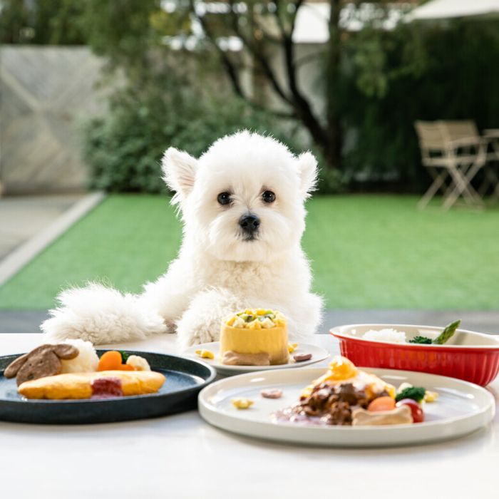 \ペット婚相談会♪/大切な家族と過ごすプライベートWD