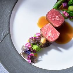 【夏限定】旬の厳選食材!至福の美食試食×ドレス★50万特典BIG