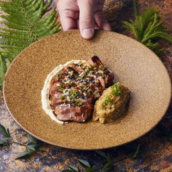 【料理重視】スペシャリテ含む2品試食!料理ランクUP特典付き