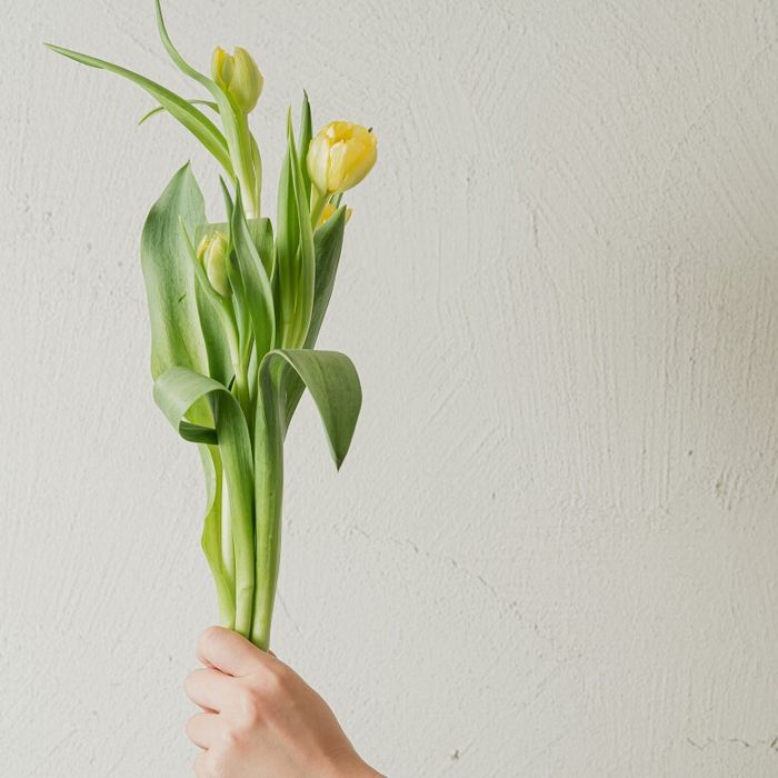 【オンライン♪見学&相談会】最短30分~スマホでOK!