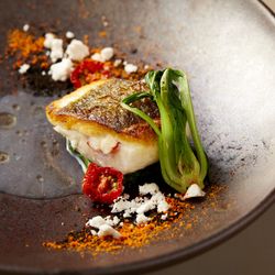 平日限定◆甘鯛×かずさ和牛 贅沢食べ比べ試食◆少人数婚プライベート相談会