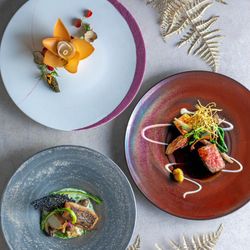 年始SP【美食フェア】”五感で愉しむ”4万コース試食&130万優待