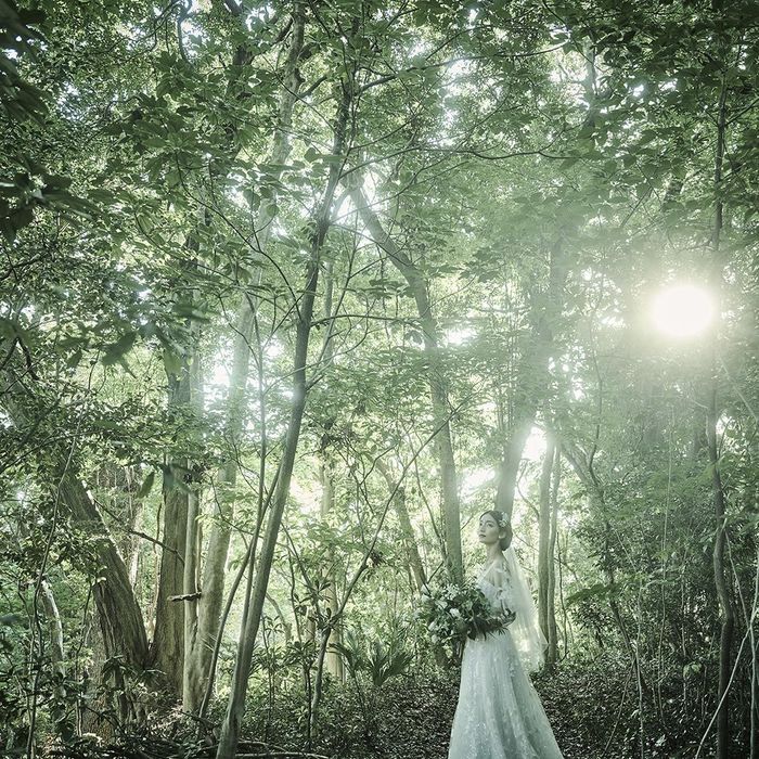 GW限定!【料理重視におすすめ◎】出汁に拘った至極のフルコース試食×全館見学&豪華7大特典