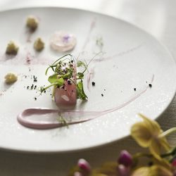 GW限定【当館人気No1】国産牛の贅沢試食×緑地に佇む文化財の全館見学&おもてなし体験