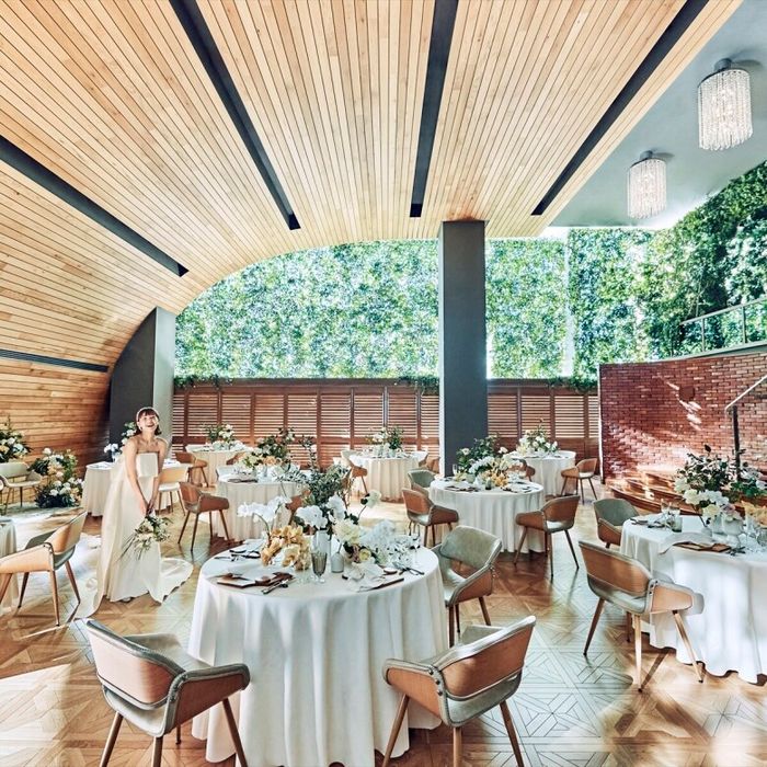 【東京都料理総合1位受賞】表参道の自然溢れる会場×国産牛贅沢3万円コース試食付