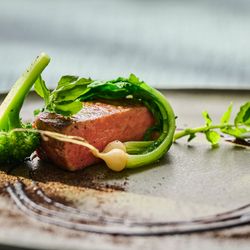 東京都1位受賞記念【国産牛コース贅沢無料試食】表参道一望テラス×人気の演出体験*ドレス特典