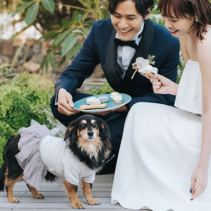 \表参道で貸切ペット婚/黒毛牛コース贅沢試食×大切な一日を一緒に過ごせる魅力満載★ワンちゃん料理特典付き♪