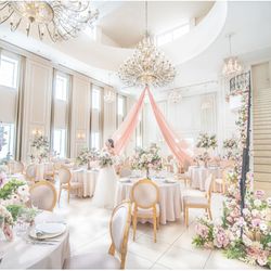 連休SP!5千円ギフト券&MAX150万優待◇憧れの大階段付きの会場&大阪唯一の映像演出◇黒毛和牛4万試食は絶品!