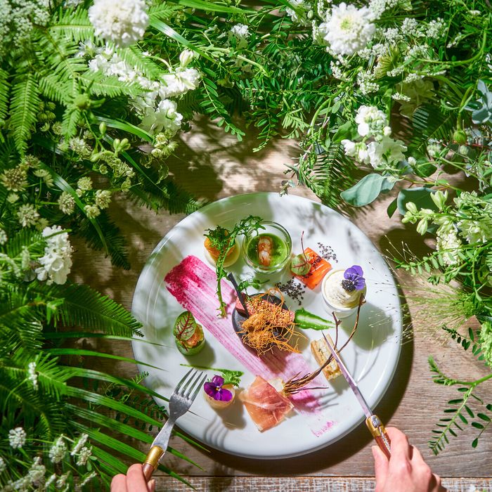 《6/29限定★料理重視◎》都心の森の新会場×豪華15品試食会