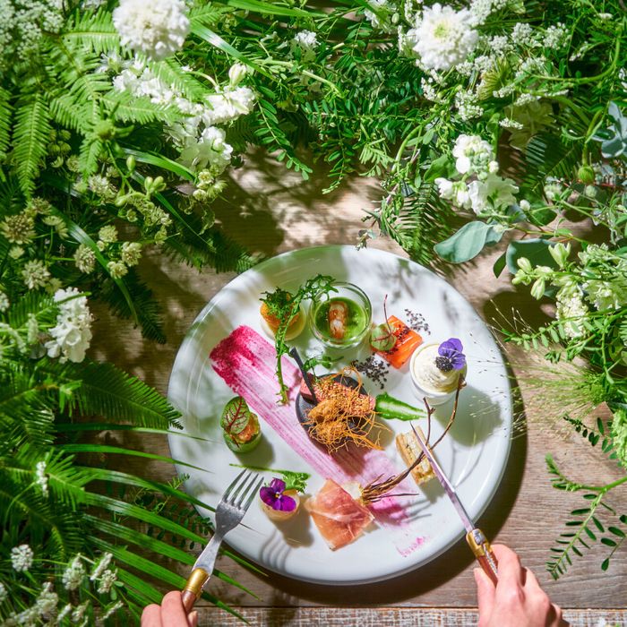 《8/31限定★料理重視◎》都心の森の新会場×豪華15品試食会