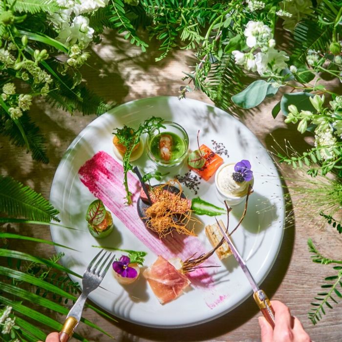 \10/26限定★15品VIP美食会/自然×都市の高台絶景*森チャペル