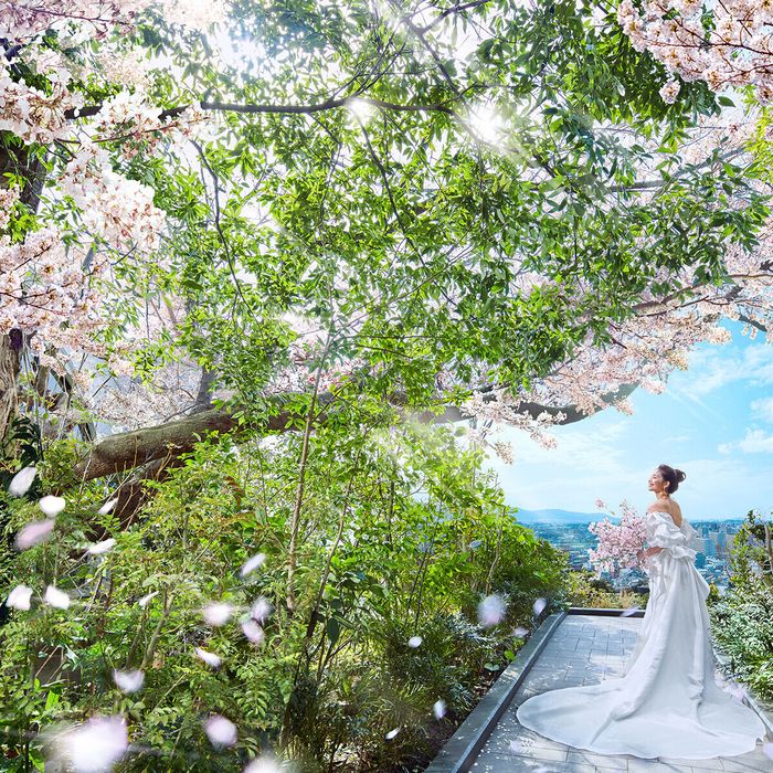 \桜満開★年に一度/都心の森*お花見美食会×170万優待&8万宿泊