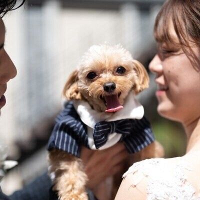 ペットと一緒に叶える挙式セレモニー相談会♪試食&見学付き