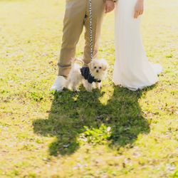 【組数限定】無料試食付き*ガーデンペットウェディング相談会