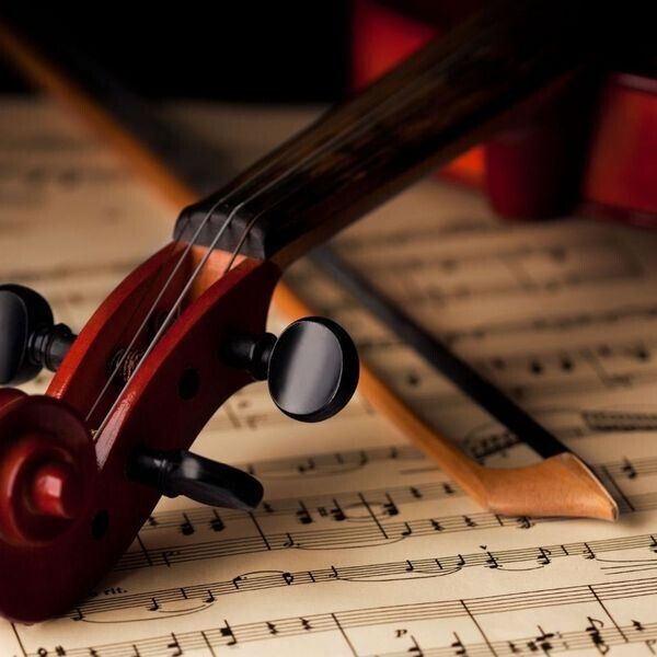 <圧巻の大聖堂>パイプオルガン&三重奏で感動挙式*4万試食