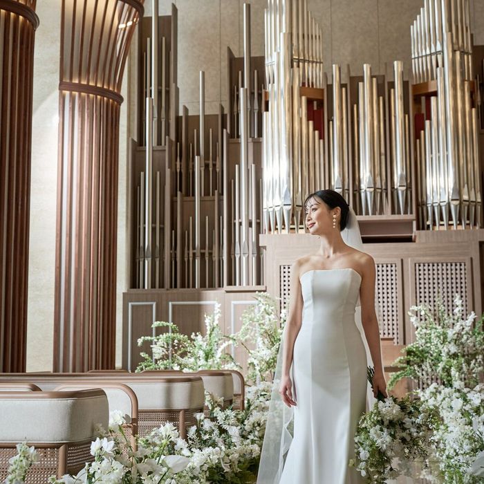 三重奏の生演奏体験!圧巻の美景×黒毛和牛4万コース試食