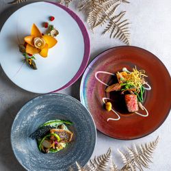 ≪少人数・お食事会≫5大特典×4万コース試食付