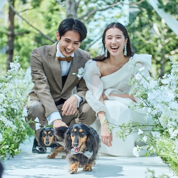 【ペット婚限定】挙式&披露宴も一緒に♪愛犬と1日過ごせるWD