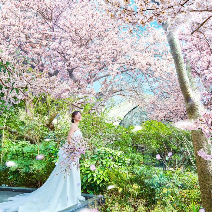 月イチBIG★最大180万円特典付《熊本県★口コミ評価1位》緑溢れるNEW会場見学×ドレス試着花嫁体験