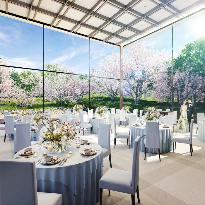 新トレンドの結婚式を体験*今までにない1日を叶える