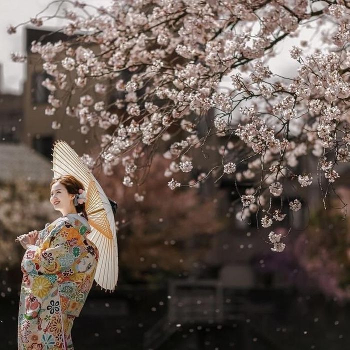 *和モダンで上質な1日*100年続く庭の中で和装もおすすめ