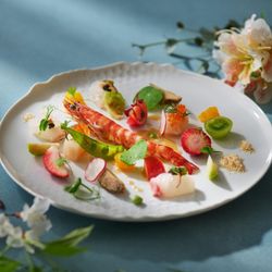 \料理重視の方へ/ミシュランシェフ監修のおもてなし絶品コース