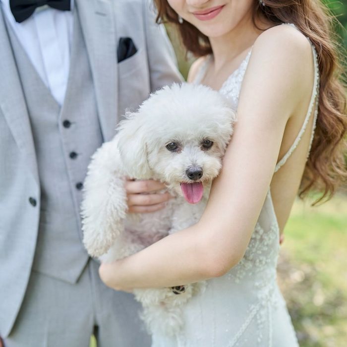 【大切な家族!ペットと一緒の結婚式】限定特典♪ペットと相談会