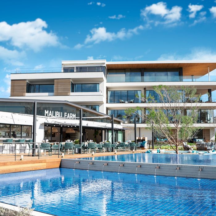 【ペット宿泊OK】スイートルームで過ごすリゾ婚×絶品*豪華試食