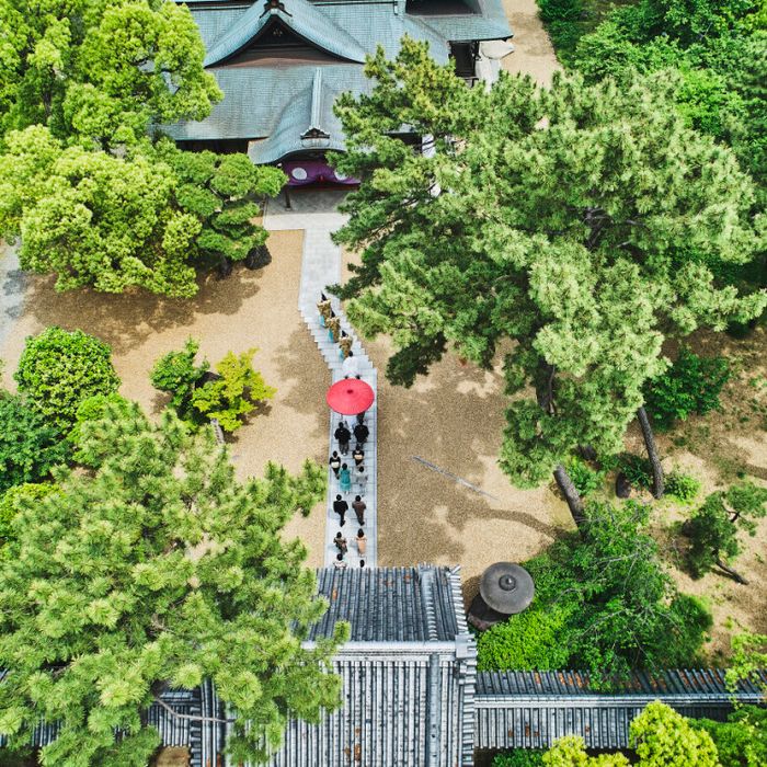 【午後からの来館にお勧め】12月14日限定開催◆和牛サーロイン&こだわりお出汁試食付き◆人気演出体験×神社ロケー ション見学