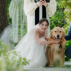 【わんダフル婚】<愛犬も同伴見学OK>リングドッグ体験&会場案内