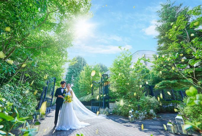 目白の森 メーヤー・ライニンガーのカバー写真
