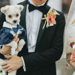 【大切なペットと迎える結婚式】チャペル&ガーデン見学会