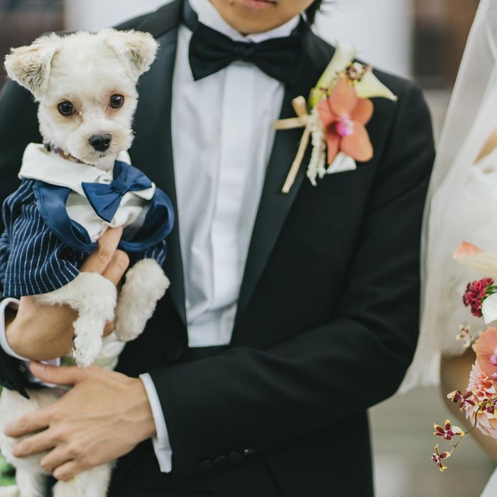 【大切なペットと迎える結婚式】チャペル&ガーデン見学会