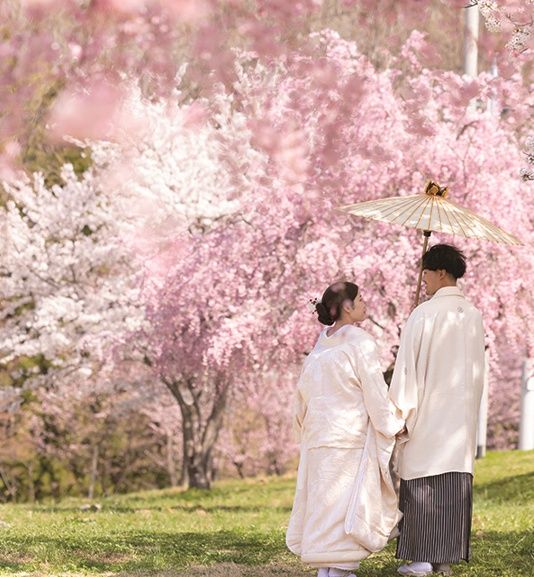 和装も洋装も◎大人気の桜でロケーション撮影 相談会
