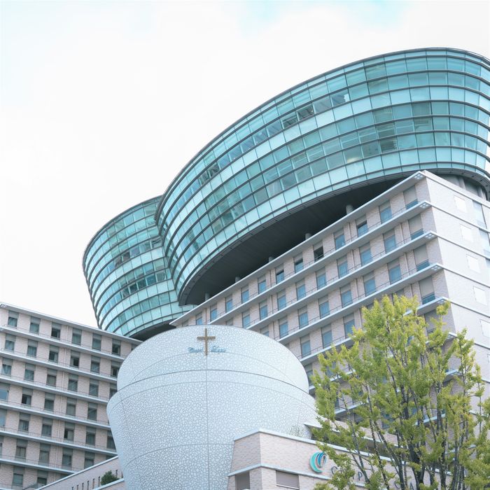 【12/31~1/2】資料請求承ります*