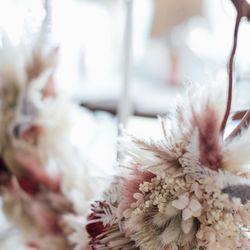 クアンティックの写真16枚目