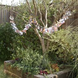 ザ・シーズンズの写真29枚目