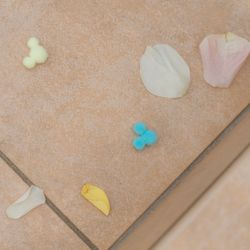 アルカンシエル ベリテ 大阪の写真14枚目