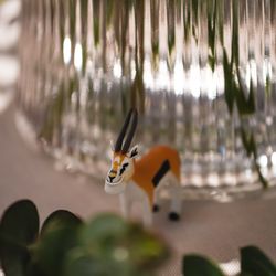 ザ ナンザンハウスの写真34枚目