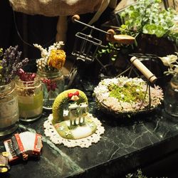 恵比寿Duo DOMOの写真35枚目