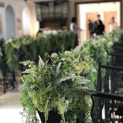 恵比寿Duo DOMOの写真20枚目