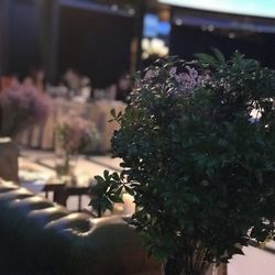 恵比寿Duo DOMOの写真15枚目